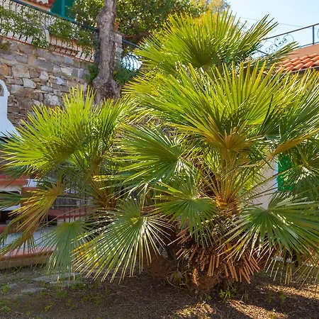 La Della Meridiana Tatil Evi *